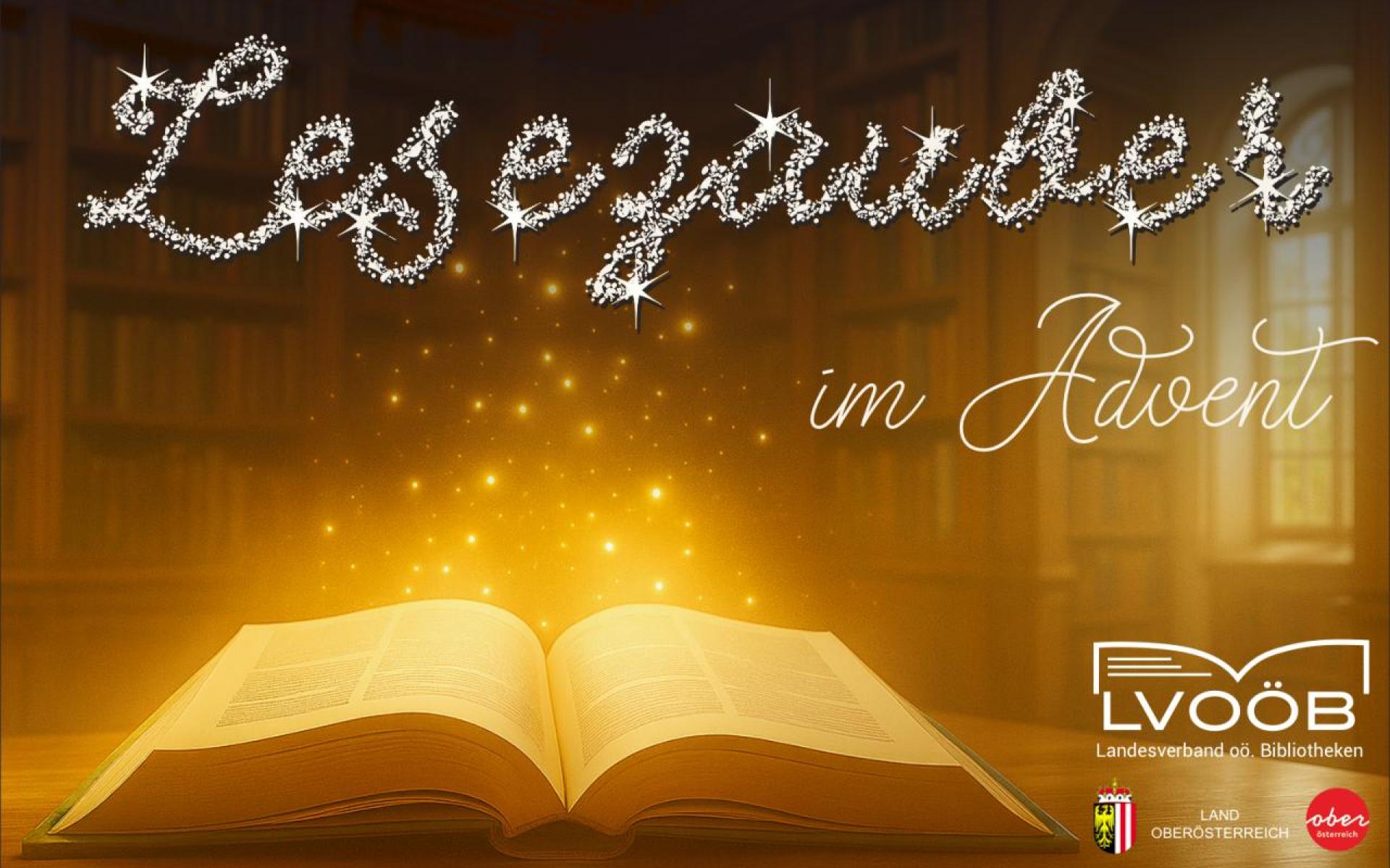 Schriftzug Lesezauber im Advent